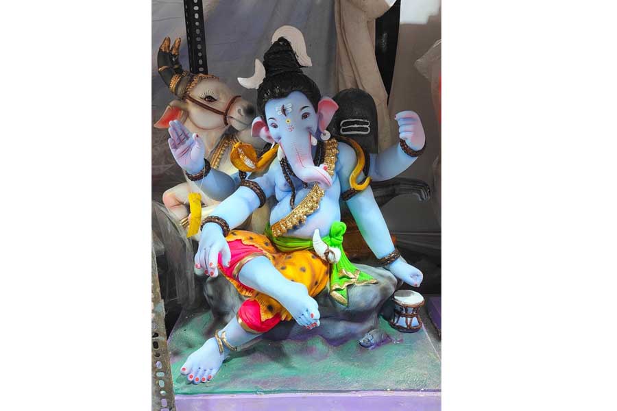 Shadu Mati Ganpati Murti photograph 35
